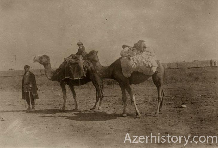 Yüklü dəvə<br> © https://azerhistory.com, 1907